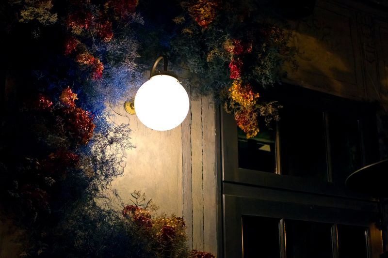 Exterior Wall Lighting